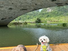 -靖西鹅泉风景区