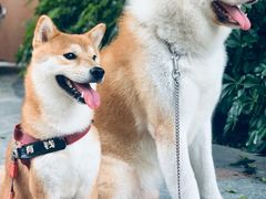 -YCHL Studios健身工作室(市二宫店)