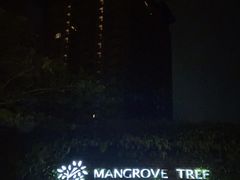 -亚马逊丛林水乐园