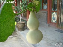 -高庙保安寺