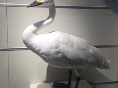 -大连自然博物馆·地球展厅