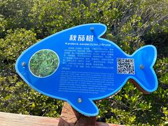 -北海金海湾红树林生态旅游区