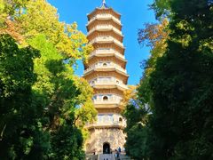 -灵谷景区