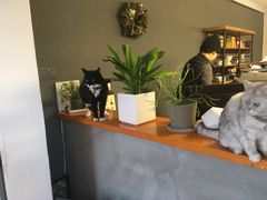 -研途咖啡馆(健康路店)