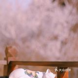 春季桃花拍照教程