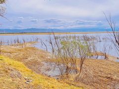 -野鸭湖国家湿地公园