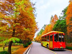 -南京市无想山景区