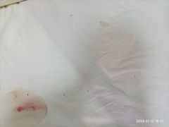 -乐宠动物医院
