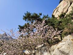 -崂山仰口游览区