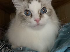 -星巴克臻选(上海合生汇1F店)