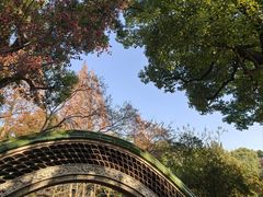 -申粤轩酒楼·三十年粤菜经典(丁香花园店)
