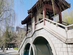 -团结湖公园