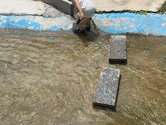 -西部长青自然儿童乐园