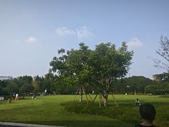 -青枫公园