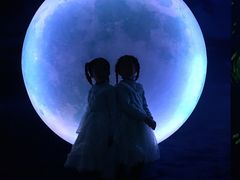 -天津梵高星空艺术馆(天河城旗舰店)