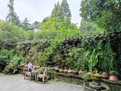 -青城甲(青城山店)