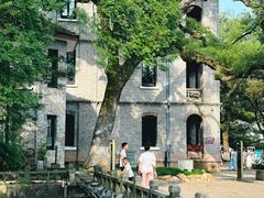 -江心屿景区