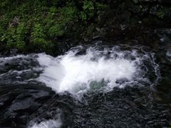 -凤凰山国家森林公园