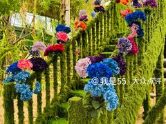 -呀路古热带植物园