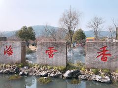 -香雪海