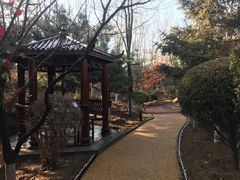 -东方华地城湿地温泉度假区