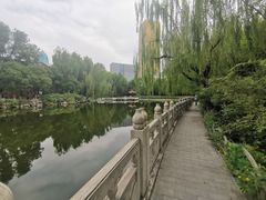 -文瀛公园