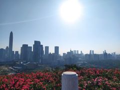 -莲花山公园