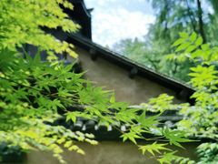 -杭州植物园