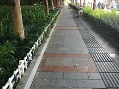 -南宁国际会展中心(会展东博文化旅游区)