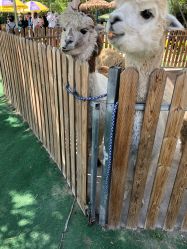 -萌宠亲子动物乐园(槐房万达店)