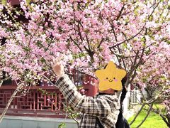 -堤角公园