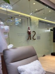 -洁铭新加坡医美