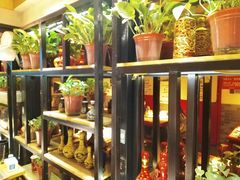 -寂寞的豆芽(西大望南路店)