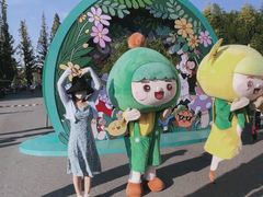 -黄海国家森林公园