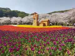 -苏州上方山国家森林公园