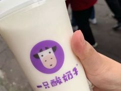 -一只酸奶牛(八一路店)