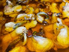 -雲蜀龙阁·金牌水煮鱼(方庄店)