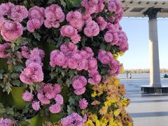 -人民防洪胜利纪念塔