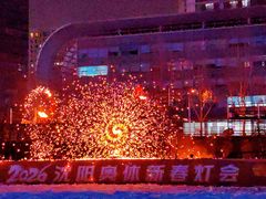 -沈阳奥体冰雪嘉年华