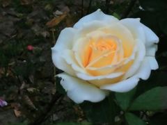 -苏州河梦清园环保主题公园