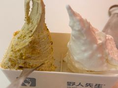 -野人先生现做冰淇淋(北京王府井东方新天地店)