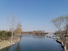 -大兴滨河森林公园