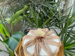 -布歌东京(常州购物中心店)