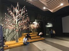 -新影联·华谊兄弟影院(望京店)