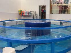 -雏芽婴幼儿游泳·小美医生小儿推拿(西村店)