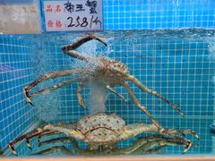 咸蛋黄焗帝王蟹-202特色排档(五缘湾店)