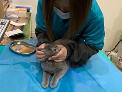 -美迦爱-牙专科·兔科·骨科诊疗中心(北苑店)