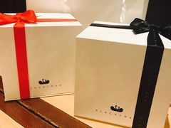 -BLACKSWAN黑天鹅(环球店)