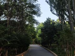 -大兴滨河森林公园