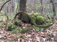 -青峰峡国家森林公园